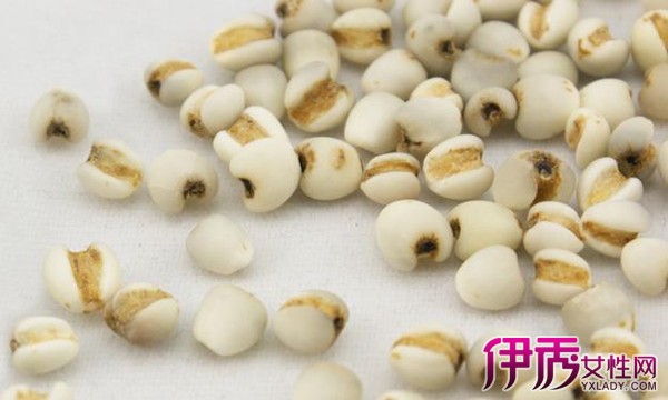 【炒薏米泡水喝的功效】【图】炒薏米泡水喝的