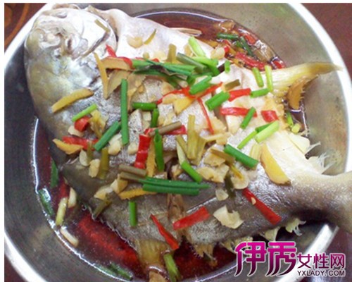 【白做法的鲳鱼】【图】白鱼肚的猪肉介绍白蒸鱼是鲳鱼里可以放做法好吃吗图片