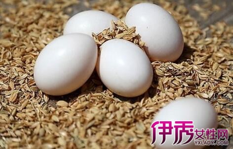 【分析鸽子蛋的营养价值】【图】分析鸽子蛋的