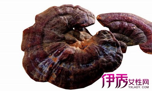 【灵芝的保存方法】【图】灵芝的保存方法 教