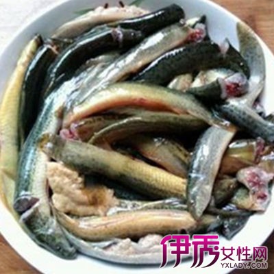 【泥鳅怎么吃最有营养】【图】盘点泥鳅怎么吃