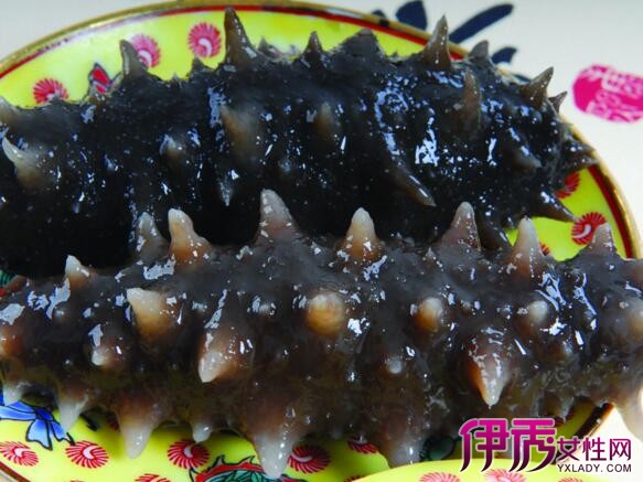 【加拿大野生海参的吃法】【图】加拿大野生海