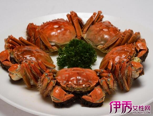 蟹的做法】【图】哪种蒸大闸蟹的做法最好吃?