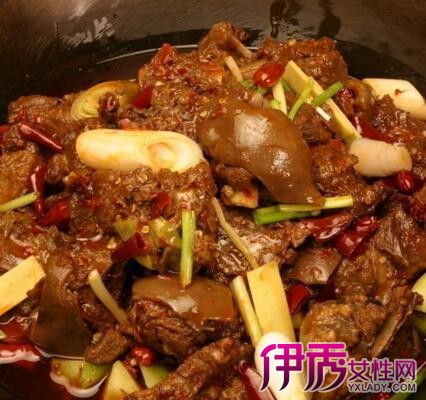 【怎样炖狗肉好吃】【图】怎样炖狗肉好吃? 为你详细解析美味炖品做法_伊秀美食|yxlady.com