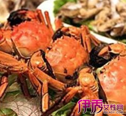 【螃蟹能和鸡肉一起吃吗】【图】螃蟹能和鸡肉