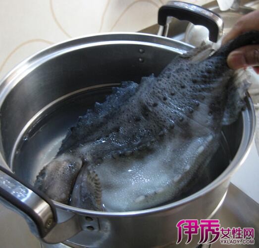 【红烧海参斑鱼的做法】【图】红烧海参斑鱼的百合网简介图片