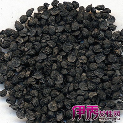 【紫根韭菜籽】【图】紫根韭菜籽怎样种植? 其