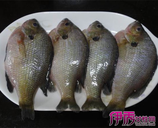 【怎样煮鱼不腥】【图】教你怎样煮鱼不腥 详