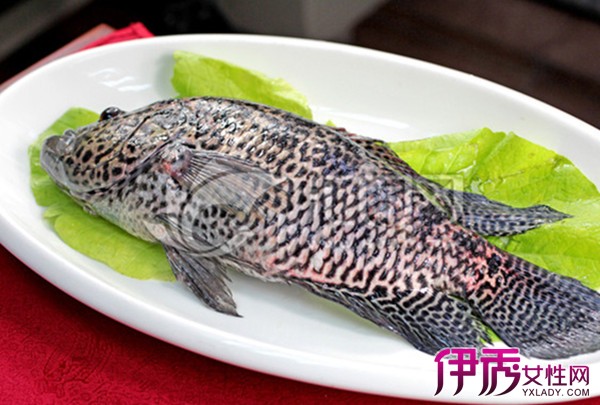 【图】珍珠斑鱼做法有哪些 教你几招制作美食的方法