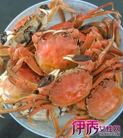 【蒸大闸蟹要多长时间】【图】蒸大闸蟹要多长