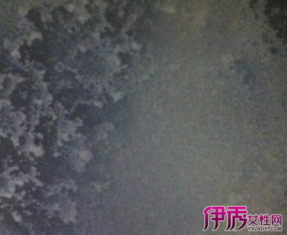 【现挤鲜牛奶怎么加热】【图】现挤鲜牛奶怎么