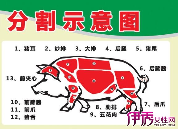 【图】猪肉分割图解大全 教你简单几招分割技巧