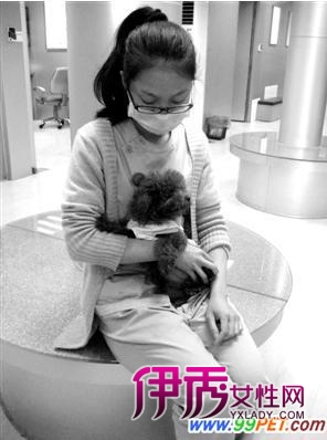 广州:宠物寄存 托管有技巧(图)_宠物水族_宠物