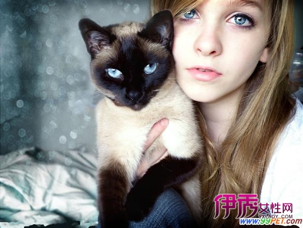 八招让猫咪爱上你的抱抱(图)_宠物水族_宠物-