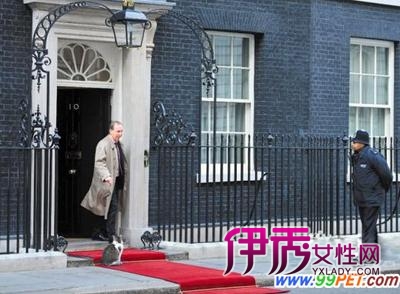 英国首相卡冷酷驱猫惹非议(图)_宠物水族_宠物