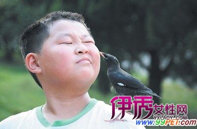 典型的人来疯 聪明的八哥不怕羞(图)_宠物水