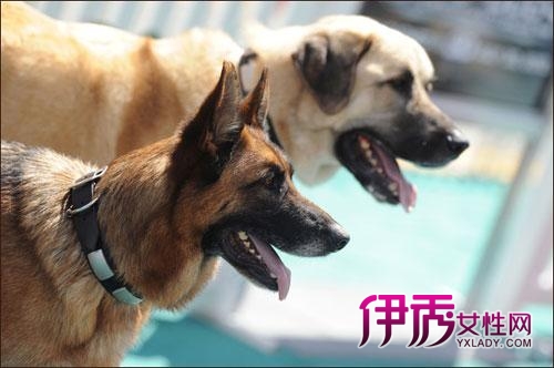 神偷奶爸3,win7连接小米音响 低音炮,钢琴琴谱