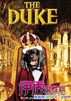 经典狗狗电影之《亿万神犬》The Duke(图)