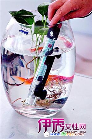 气温低鱼缸保温器热销(图)_宠物水族_宠物-伊