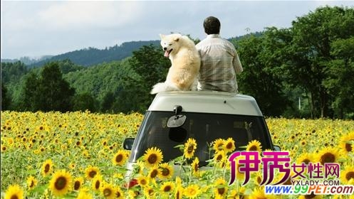 今秋最催泪电影《星星守护犬》(图)_宠物水族