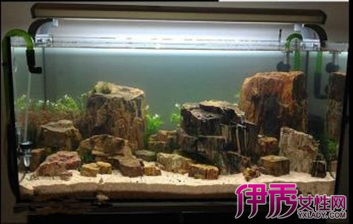 【鱼缸山石造景图】【图】自制鱼缸山石造景图