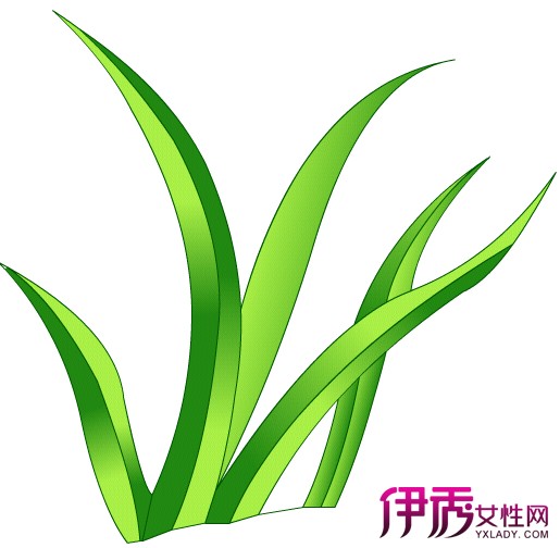 【小草鱼饲料】【图】小草鱼饲料有哪些 2大方