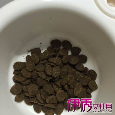 【优趣猫粮】【图】优趣猫粮喂养注意事项 3大