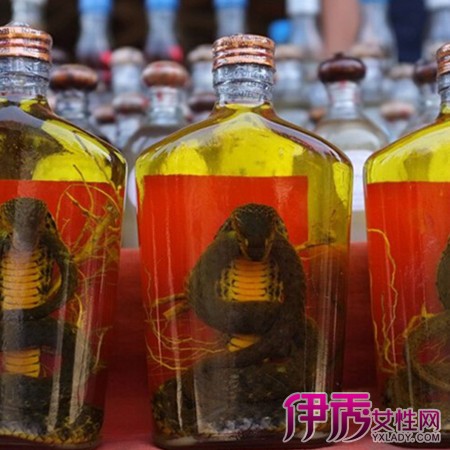 丁公藤,桂枝