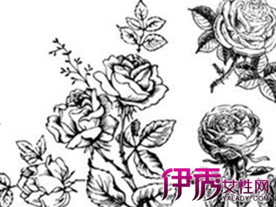 Copyright© xuexiji.pai-hang-bang.cn/ Some Rights Reserved.