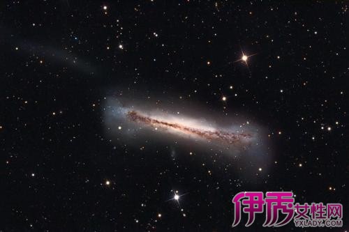 天蝎座 配 狮子座|life.yxlady.com