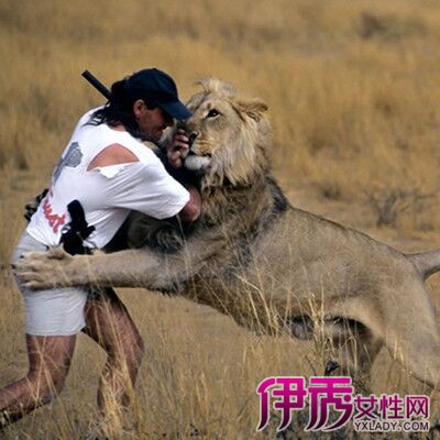 狮子座男生的性格弱点|life.yxlady.com