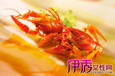 【南京推小龙虾保险】【图】南京推小龙虾保险