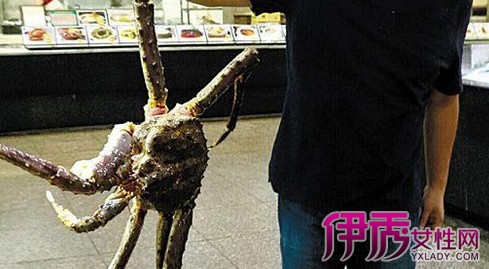 【掉包4000元帝王蟹】【图】吃海鲜被掉包40