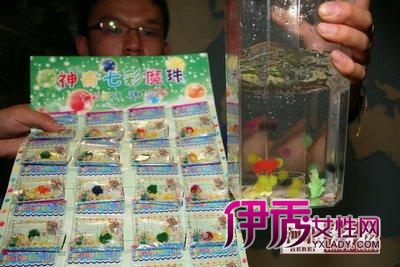 红龙金龙混养,金龙鱼混养图片大全,金龙鱼和银龙鱼 ...