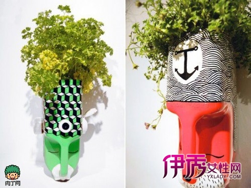 酒瓶门_酒瓶<em>门事件完整照片</em>_酒瓶兰_酒瓶(4)|