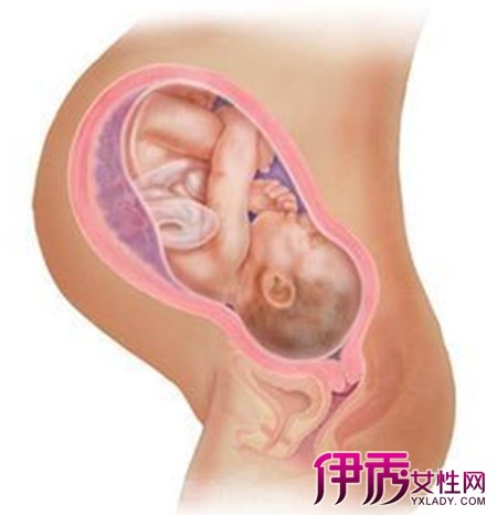 怀孕计算器预产期|life.yxlady.com
