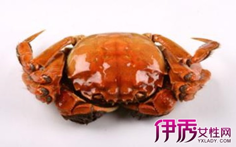 一岁宝宝可以吃螃蟹吗|life.yxlady.com