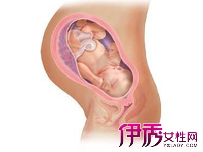 胎儿一般多少周入盆|life.yxlady.com