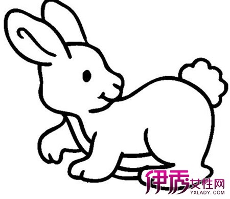 幼儿园兔子简笔画|life.yxlady.com-伊秀生活小常识