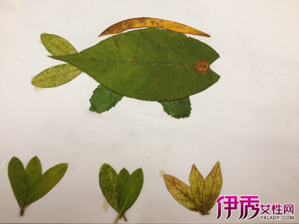 儿童树叶拼图作品图片_儿童树叶拼图作品图片下载图片