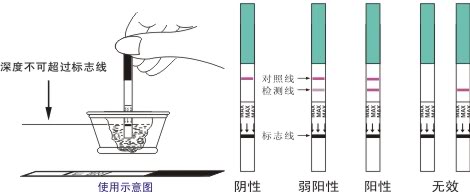 早孕试纸怀孕自测的工作原理是检测hcg值,即人体绒毛膜促性腺激素的值