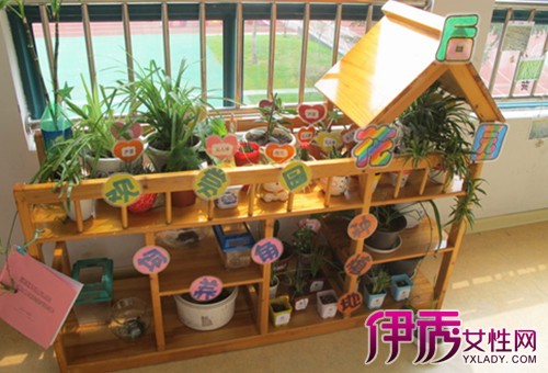 幼儿园植物种植有何意义