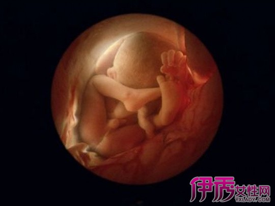 胎儿在肚子里打嗝是什么感觉|life.yxlady.com