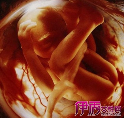 胎儿心率正常值是多少|life.yxlady.com