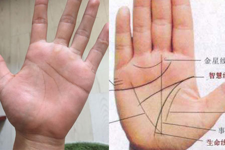 【图】如何看手相 右手左手因年龄各不同