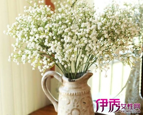 满天星怎么种|life.yxlady.com-伊秀生活小常识