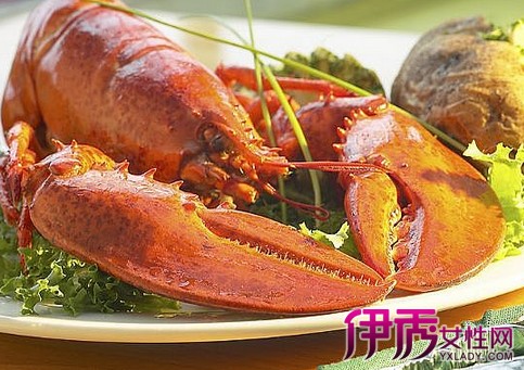 大龙虾多少钱一斤 大龙虾营养价值大揭密