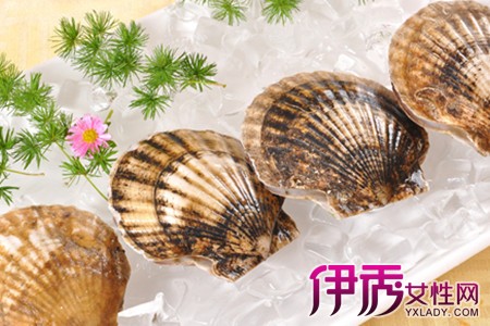 扇贝蒸多久|life.yxlady.com