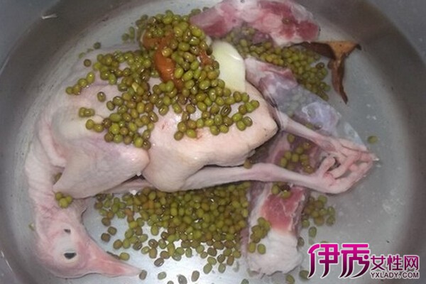 鸽子和绿豆煲汤合适吗|life.yxlady.com