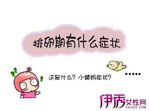 排卵期的症状图画|life.yxlady.com